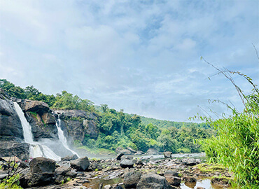 Image Gallery